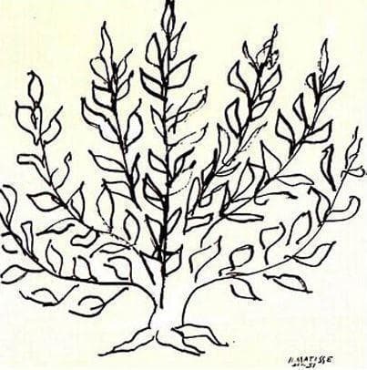 低木 1951年 アンリ マティス アートポスター Henri Matisse