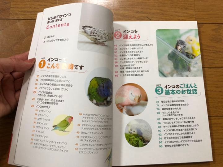 ☆ インコ ケージ ヒーター オモチャ 本 色々スターターセット インコ餌