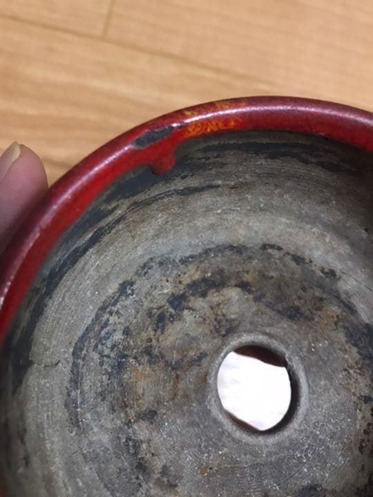 盆栽鉢　希少時代盆栽鉢鶏血黄釉がけ支那鉢和鉢〜亭詳細不明骨董鉢山野草赤い盆栽鉢