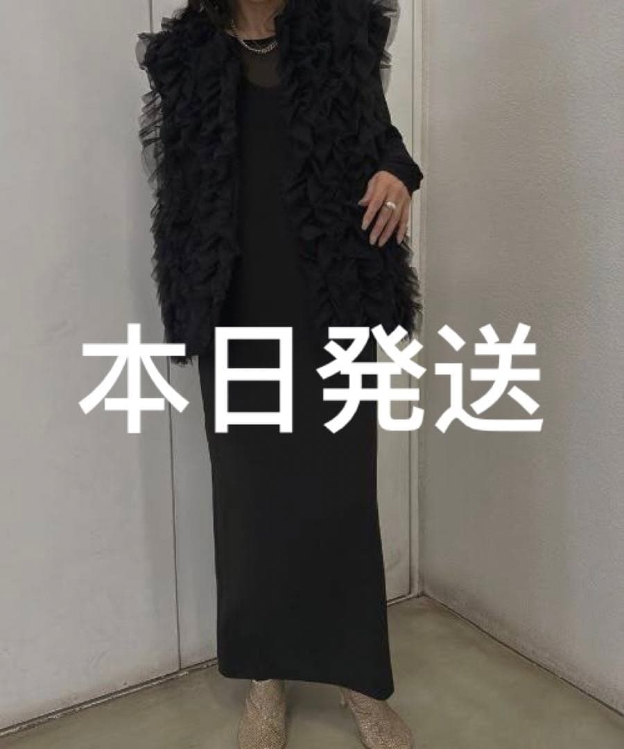 結婚式おすすめAMERI I LINE TULLE VEST SET DRESS Ameri（アメリ）の「I LINE TULLE VEST SET DRESS（ドレス）」 - WEAR