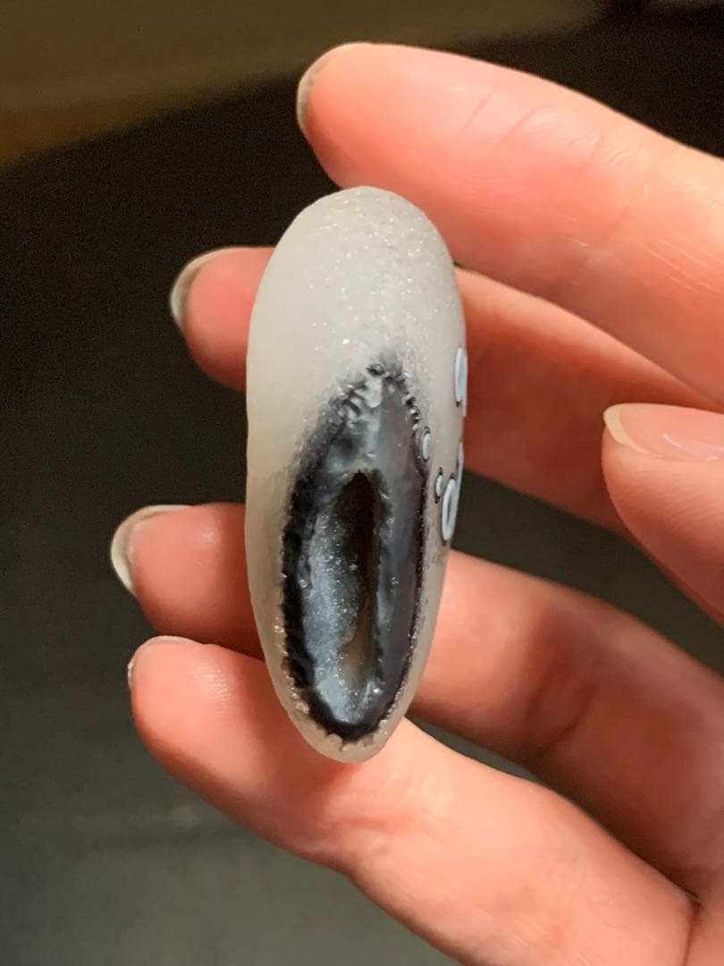 究極のゴビアゲート ゴビ瑪瑙 蒙古瑪瑙 水石 根付 天眼 天珠 翡翠 化石