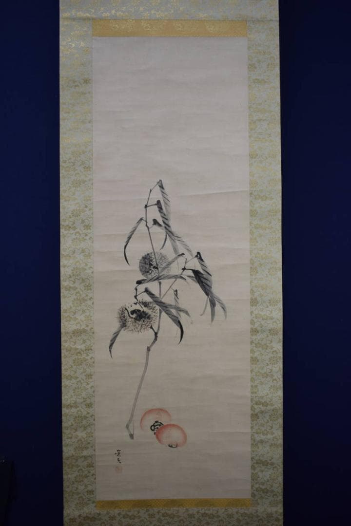 真作/松村景文/枝栗/紅柿図/桐題箱付/布袋屋掛軸HI-242