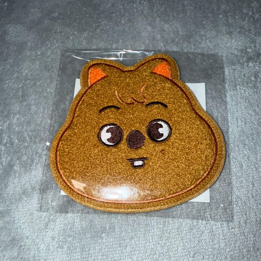 SKZOO サガラ刺繍　コースター　ポップアップ