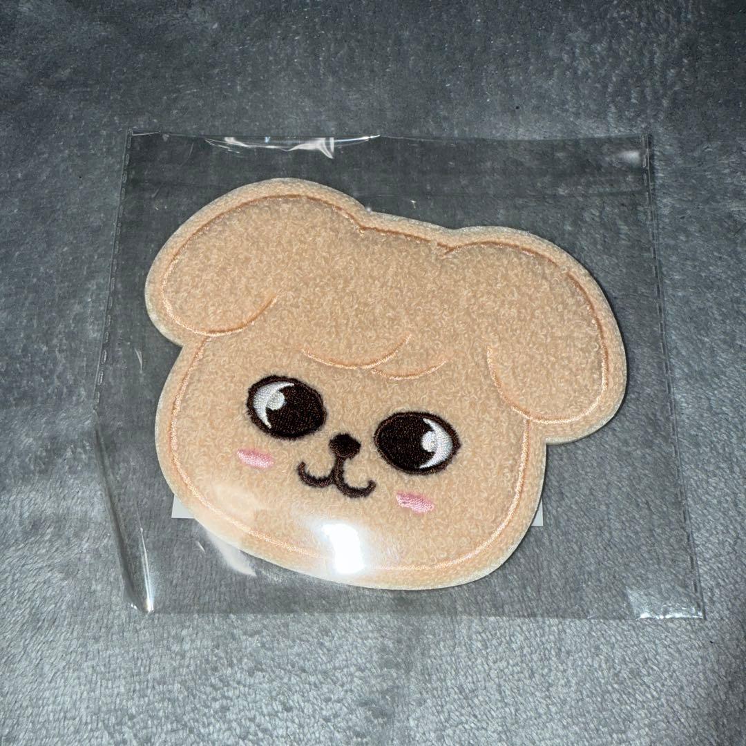 SKZOO サガラ刺繍　コースター　ポップアップ