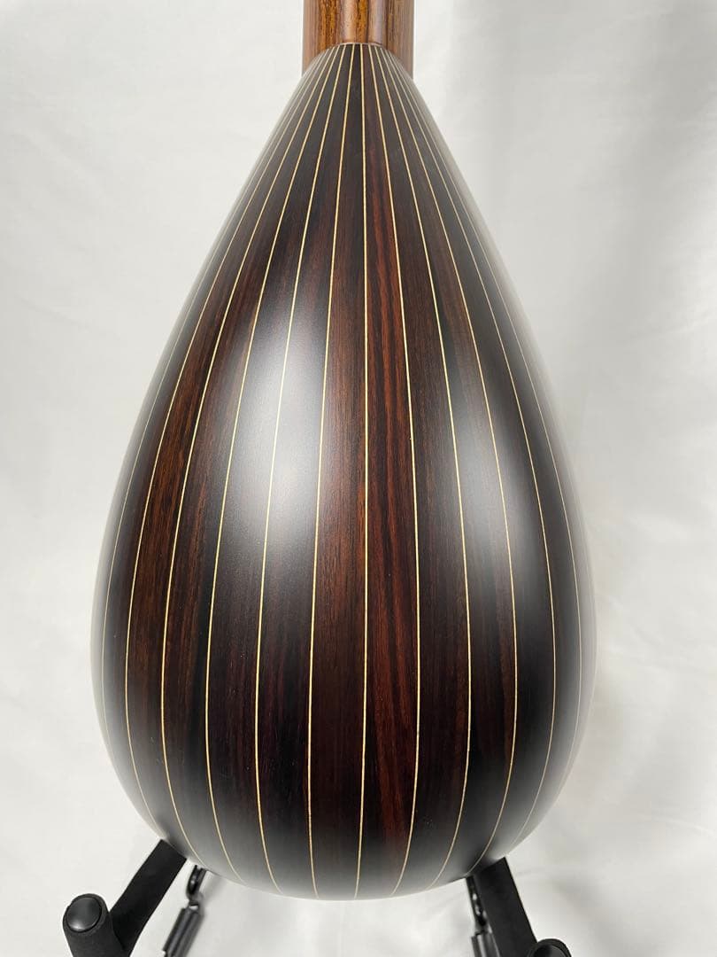 ASTURIAS/アストリアス MS-1bis マンドリン ケース付き - メルカリ