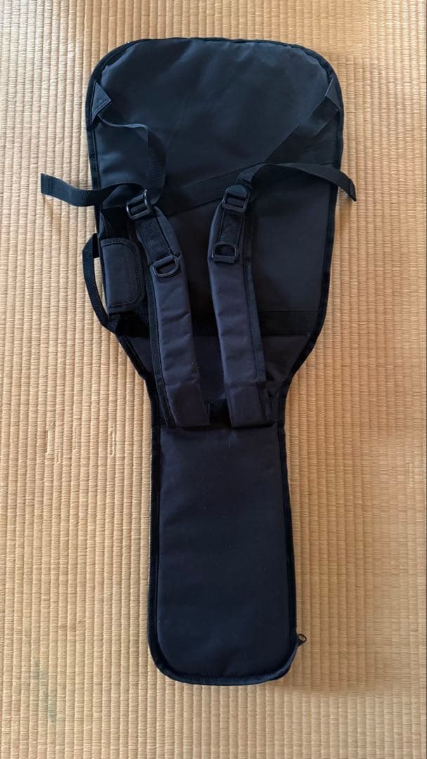 Bacchus SHG-ASH RSM エレキギター