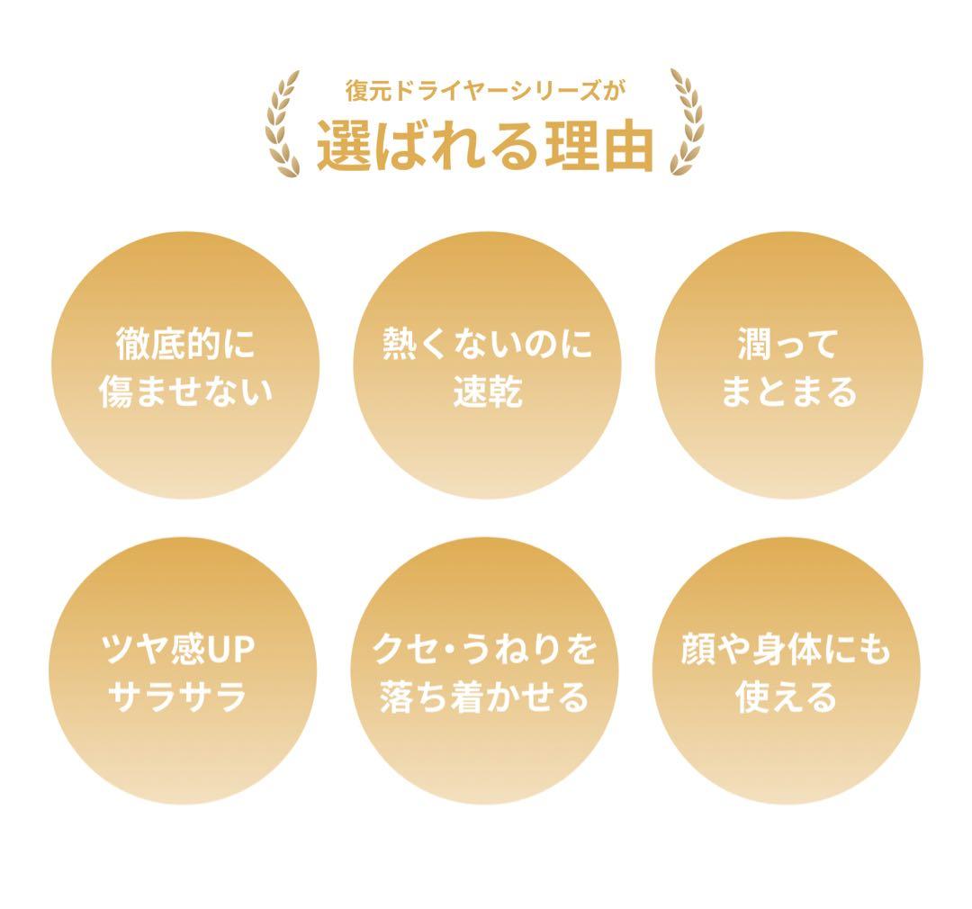 【新品未開封】LOUVREDO 復元ドライヤー mini ブラック 正規品