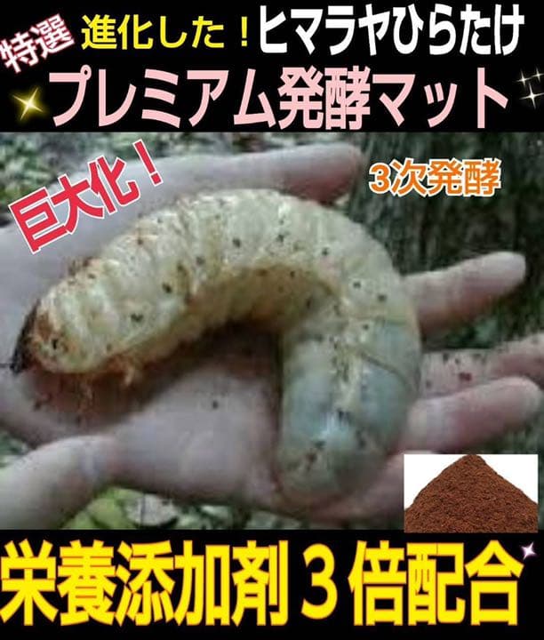 増量50L☆プレミアム3次発酵カブトマット 特殊アミノ酸・共生