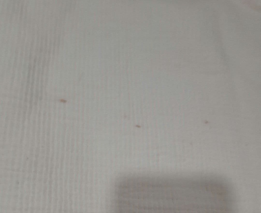 アリシアスタン　ビーチマット　バック