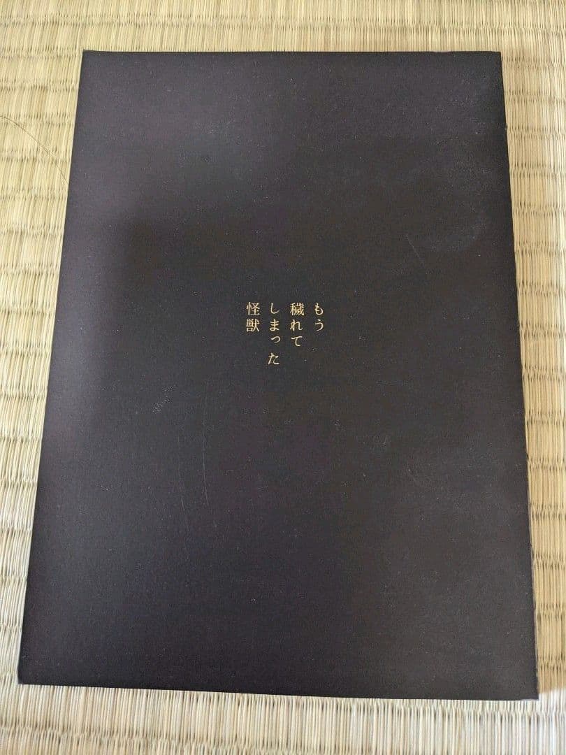 ハッピーレイン♪スタイル、ラブリーシューズプラチナスタイル