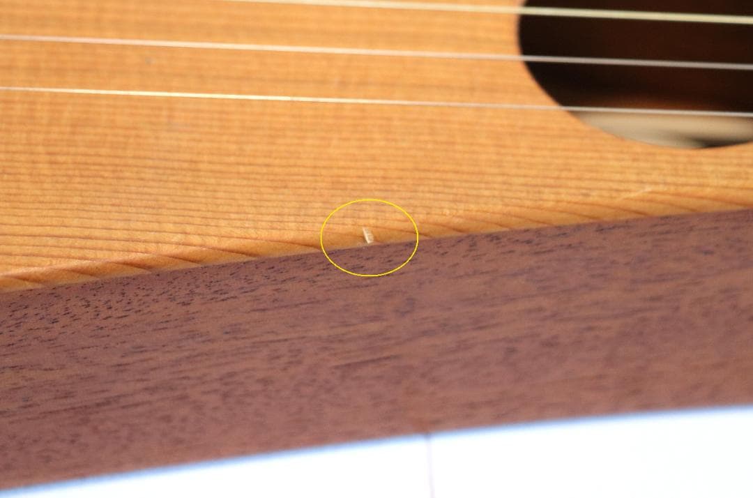 ★マーチンバックパッカーMartinTheBackpackers純正GIGケース