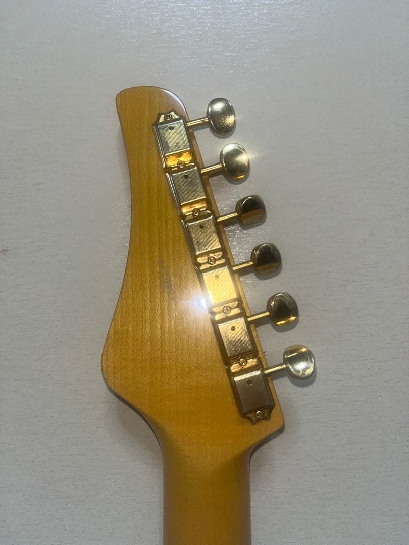 FUJIGEN EOS AL. HSH. エレキギター ハードケース付 2025年最新