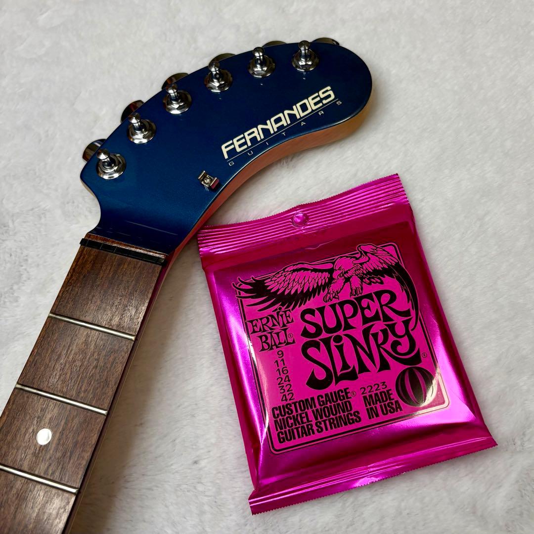 FERNANDES フェルナンデス DIGI-ZO Hyper ソフトケース付き