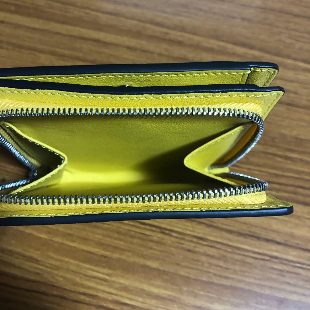 LOEWE トトロ柄 ケース イエロー