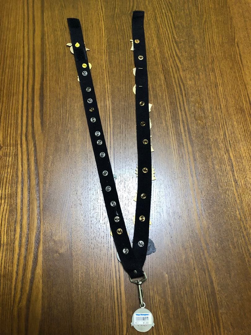 東京ディズニーランド　ピンバッチ27点+専用ストラップ