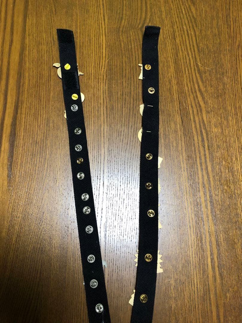 東京ディズニーランド　ピンバッチ27点+専用ストラップ