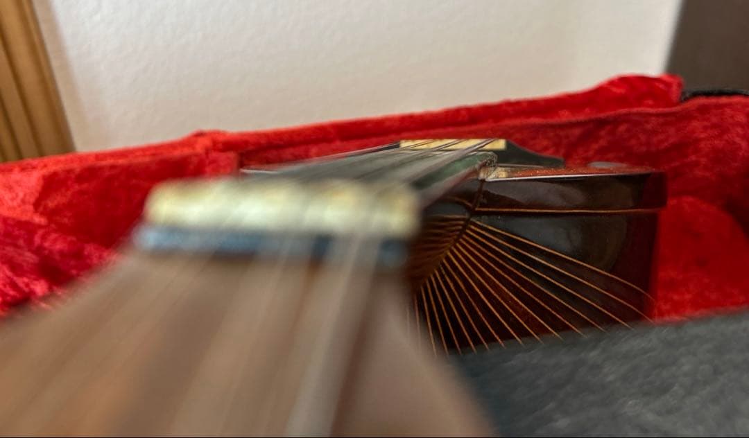 マンドリン 落合忠男1979年　ハードケース付き