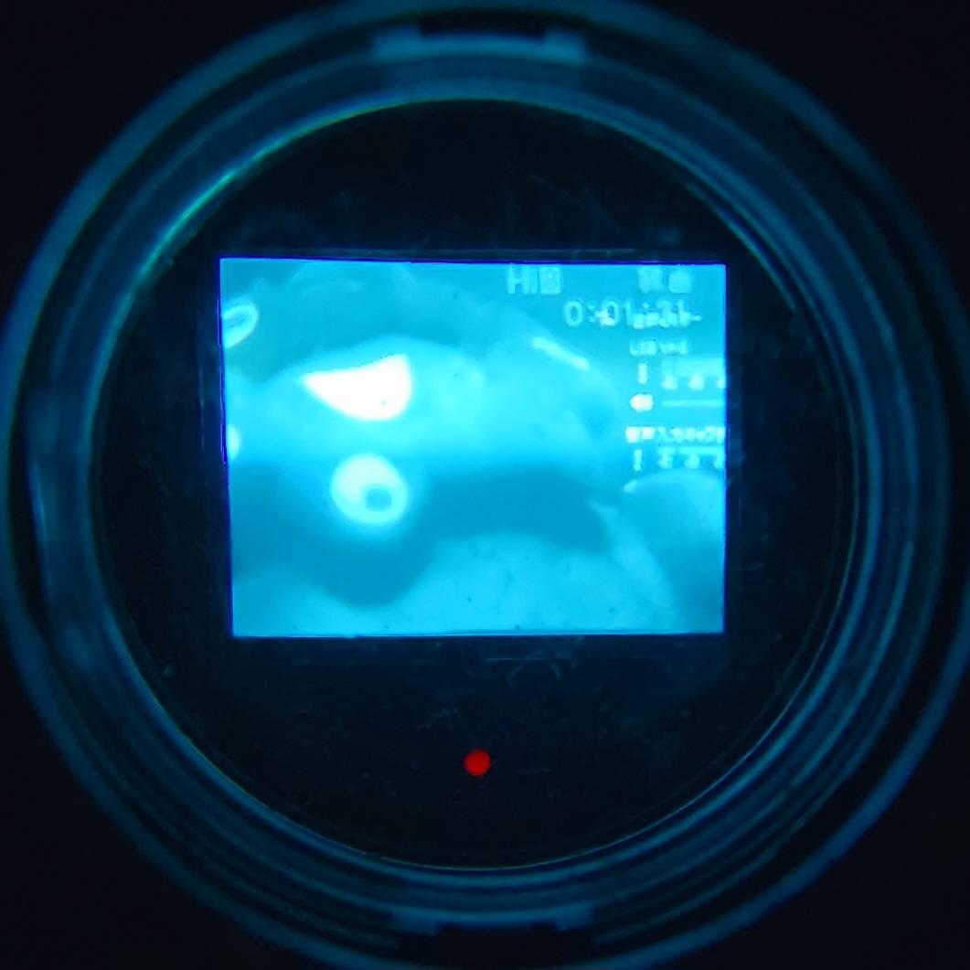 【動作確認済】希少 高画質 SONY Hi8 CCD-TR705 説明書 箱 他