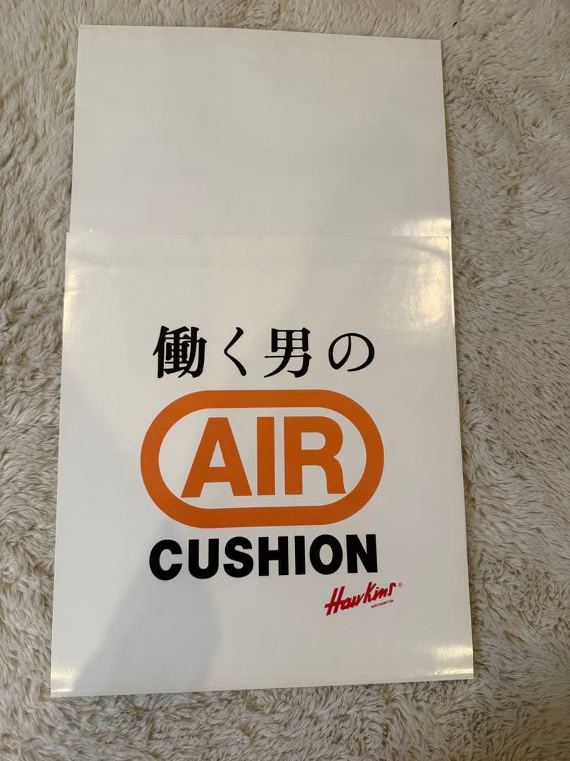 激レア非販売品ポスター大塚寧々さん 縦長ポスター