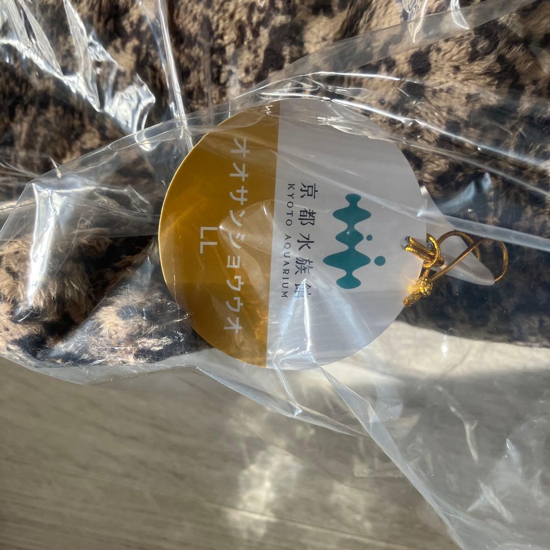 京都水族館 オオサンショウウオLL ペンギン