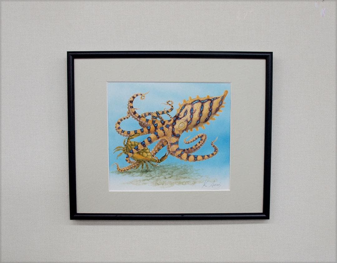 【絵画】ネイチャーアート「オウギガイを襲うヒョウモンダコ」原画