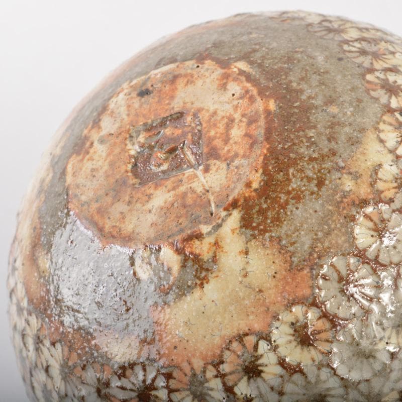 和食器 天翔窯 高橋佐門作 花文 小鉢 五客 共箱 C 6509