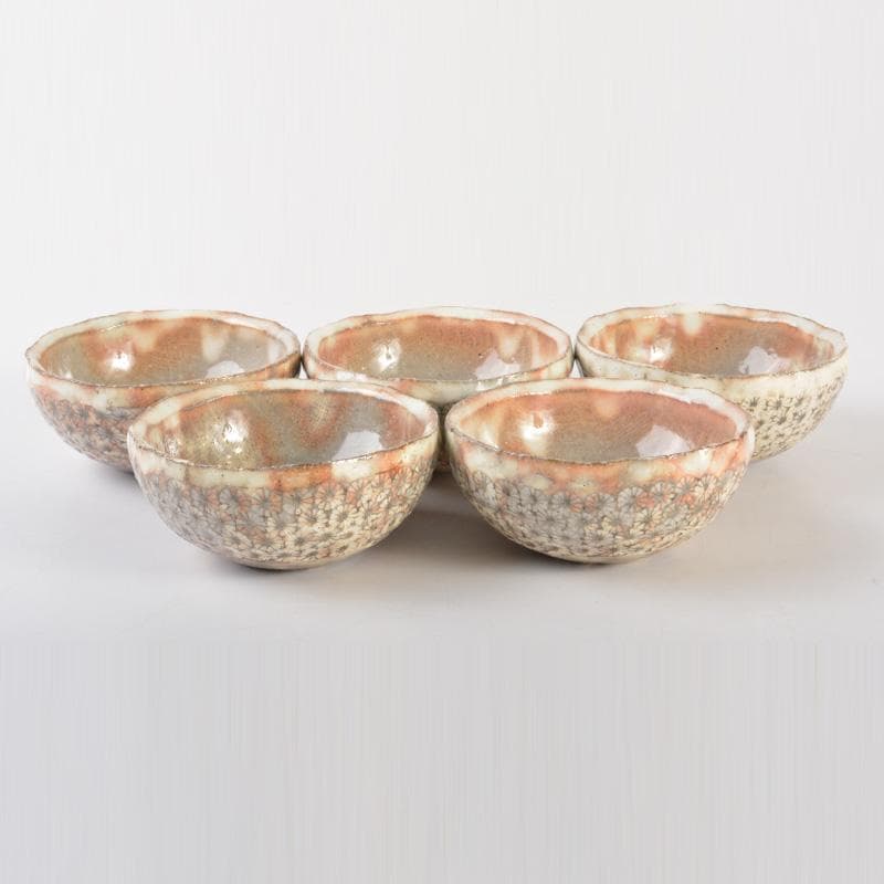 和食器 天翔窯 高橋佐門作 花文 小鉢 五客 共箱 C 6509