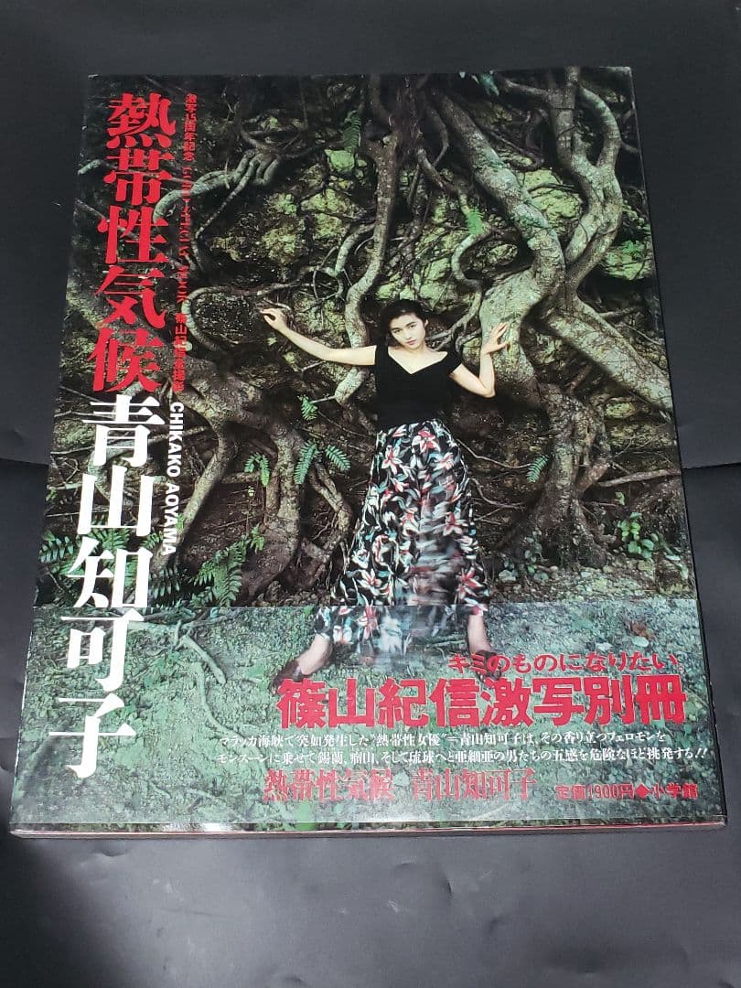 熱帯性気候 ベスト 青山知可子 写真集