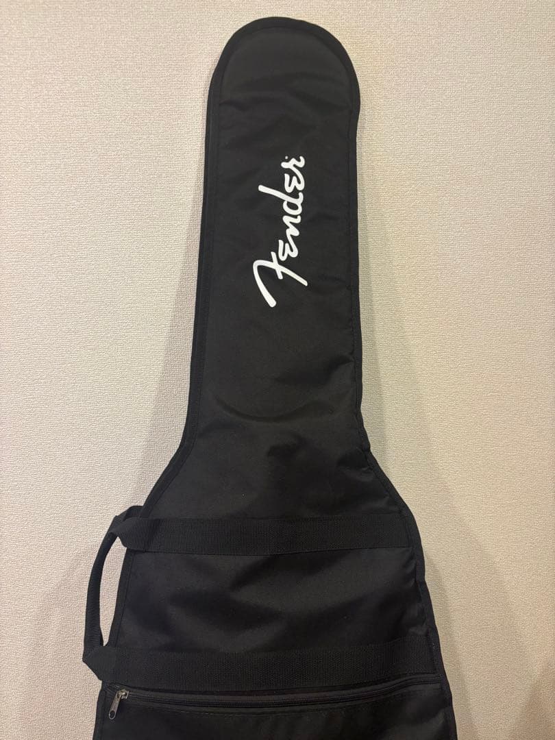 ギター PLAYTECH ST250 Rich White