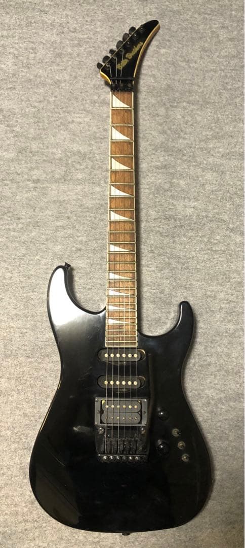 轟音　ビルスブラザーズ　フロイドローズ　SSH バナナヘッド　ジャクソンインレイ