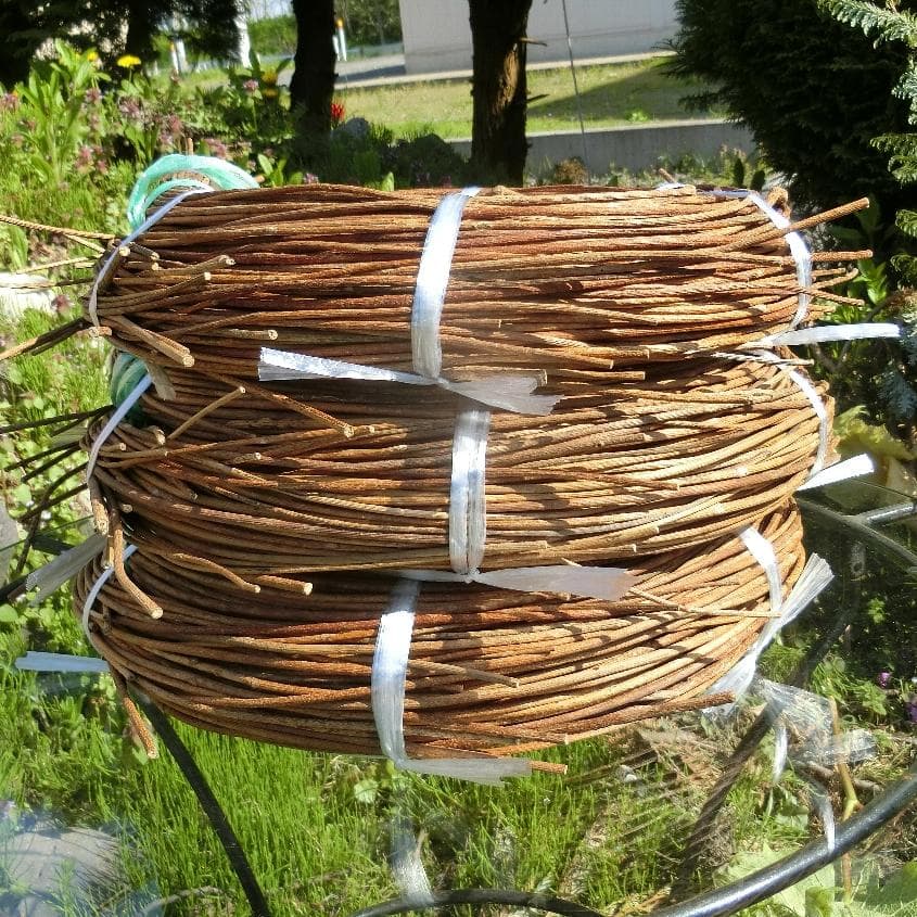 michifurano213　青森岩木山　あけび蔓　150cm～ 3kg