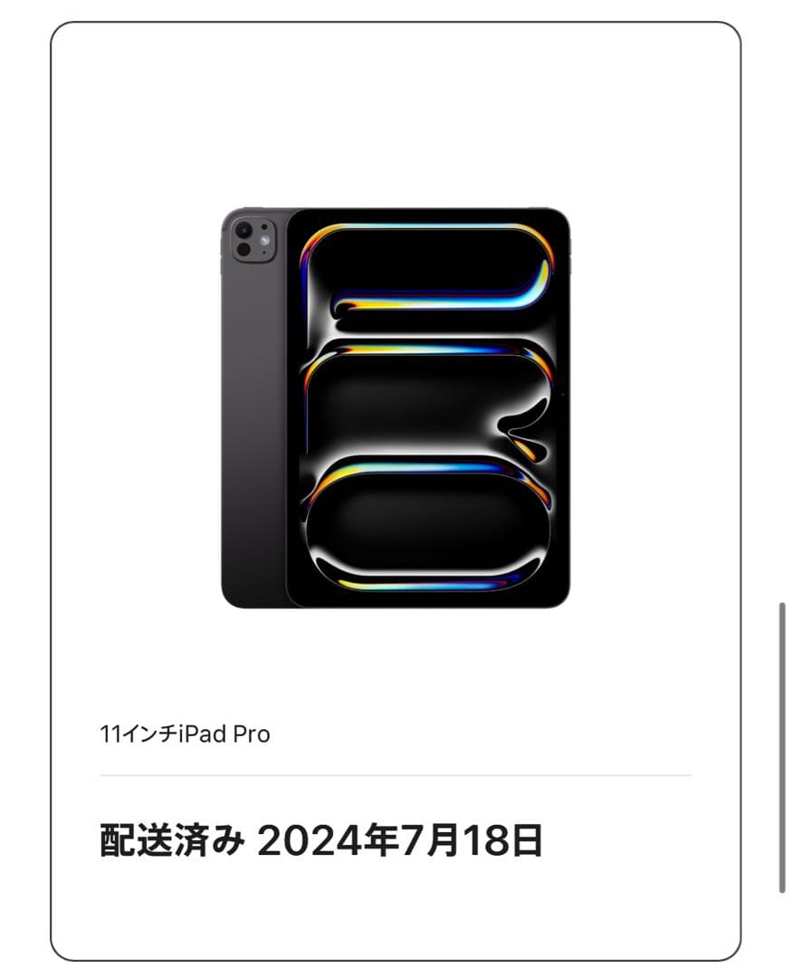 11インチiPad Pro(M4) 256GB Wi-Fiモデル ジャンク品 - メルカリ