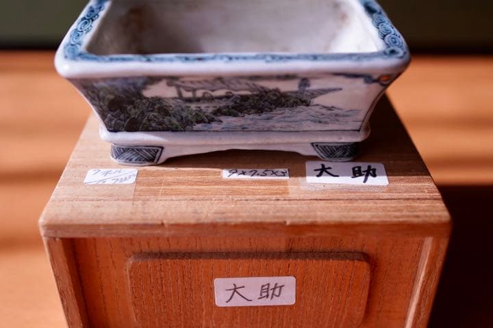 郵送無料　小品盆栽佐野大助  五彩絵　風景鉢