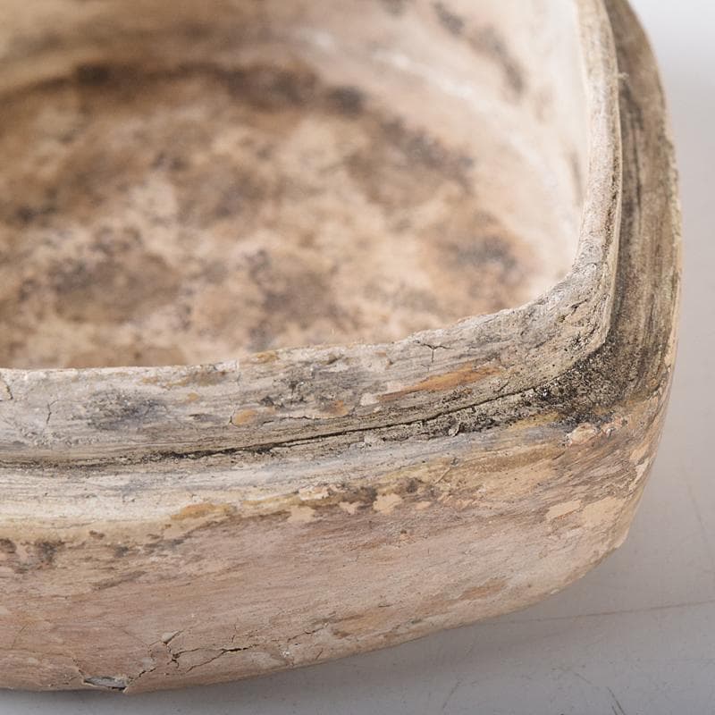 茶道具　白漆　貝文　貝形香合　花押あり　書付時代箱　V　R8327