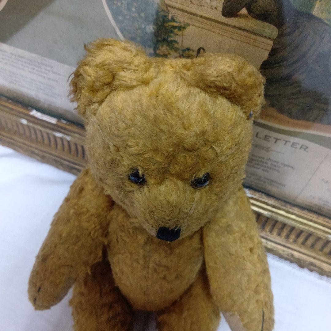 ♥ドイツからやって来た賢いお顔の　アンティーク　テディベア♥