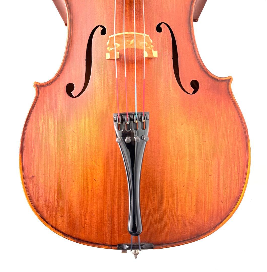 弦楽器 Gliga Strumenti musicali eseguiti 4/4