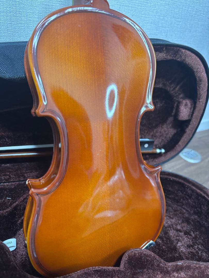 極美品✨ カルロジョダーノ VS-1 1/8 2015 分数バイオリン 弦楽器