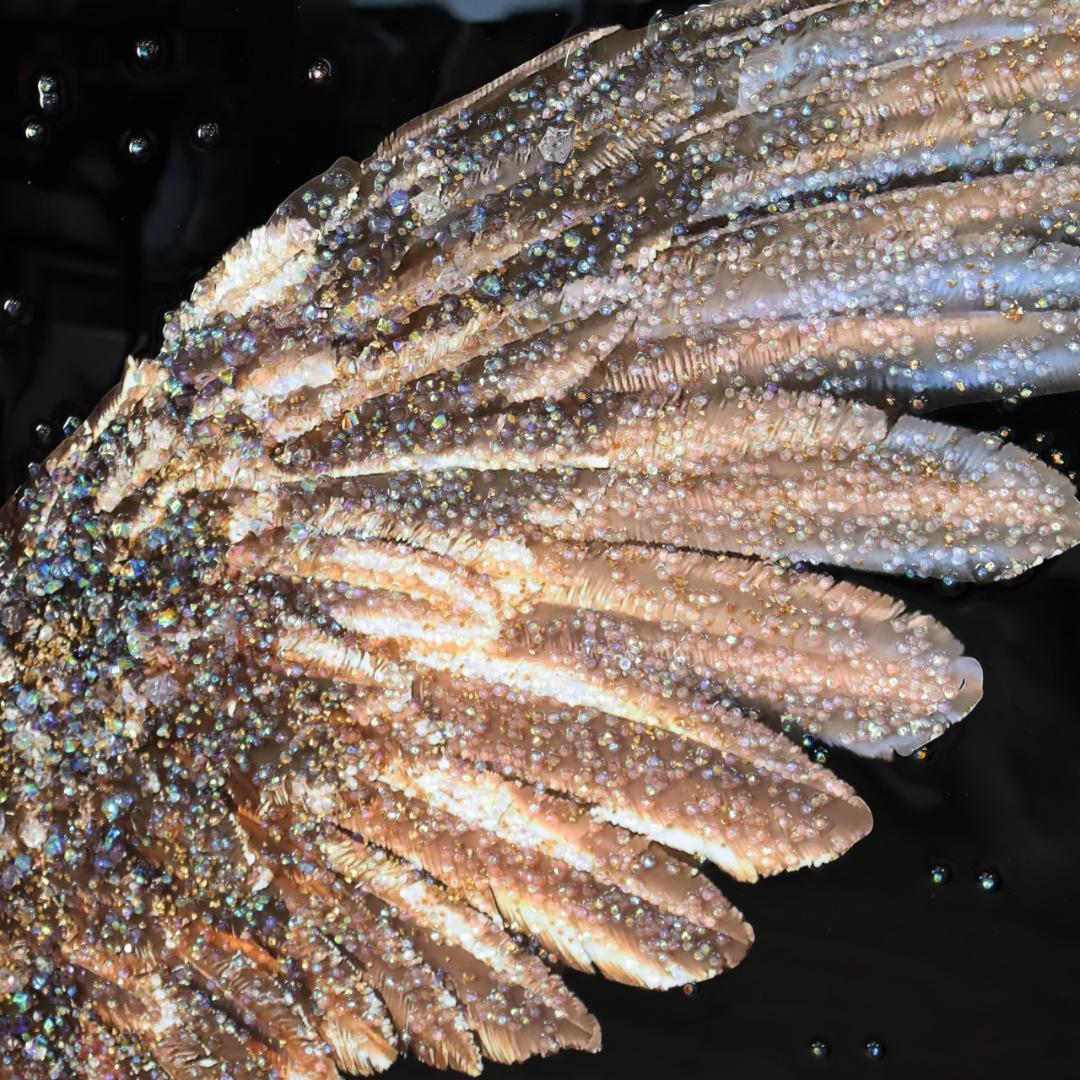 アートフレーム ピース 幸運の翼 風景 絵画 クリスタルピクチャー ウォールデコ