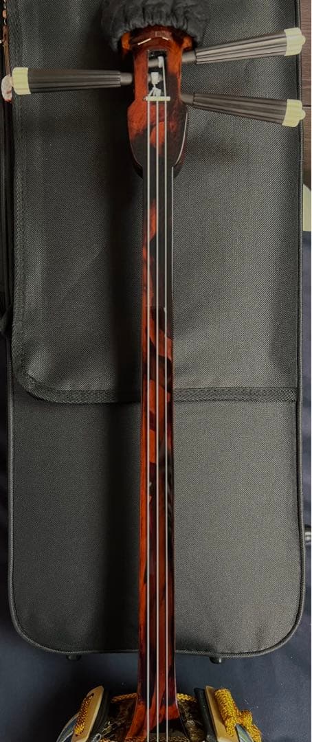 三線 八重山黒木 ウジラミ