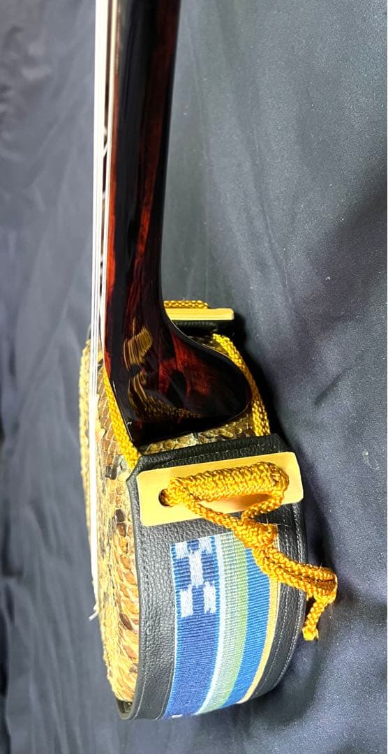 三線 八重山黒木 ウジラミ