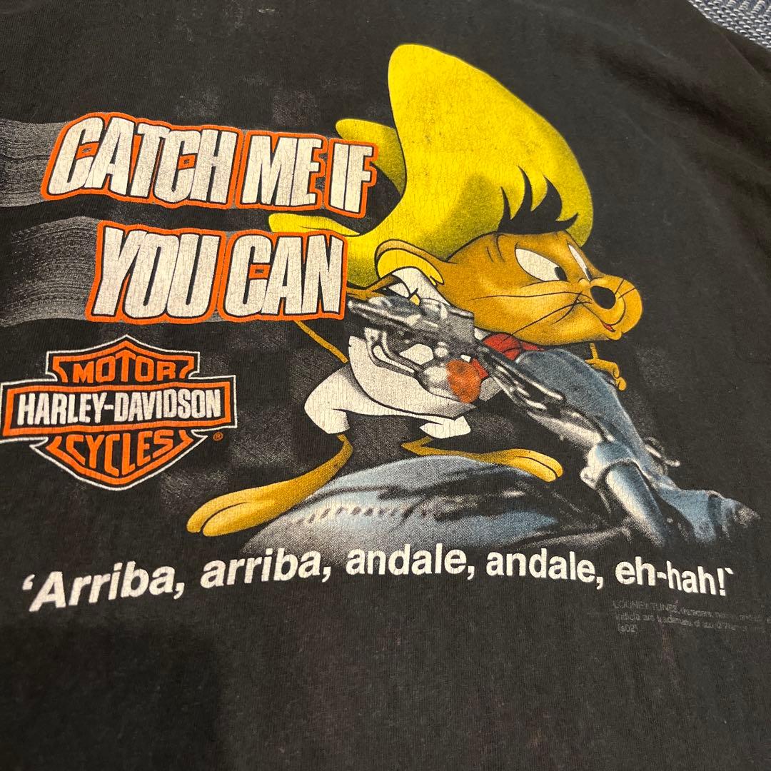 ハーレーダビットソンビンテージtシャツ グレードランドルーニーテューンズ