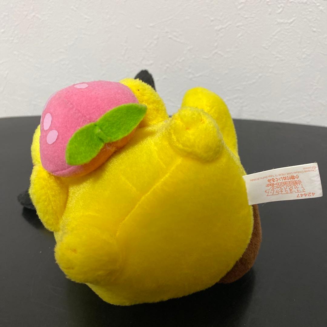 レア！ ポケモン アドバンスジェネレーション 小物付きぬいぐるみ