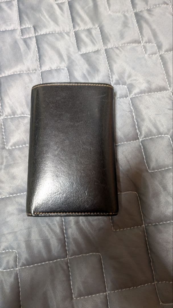 ワイルドスワンズ　バーン