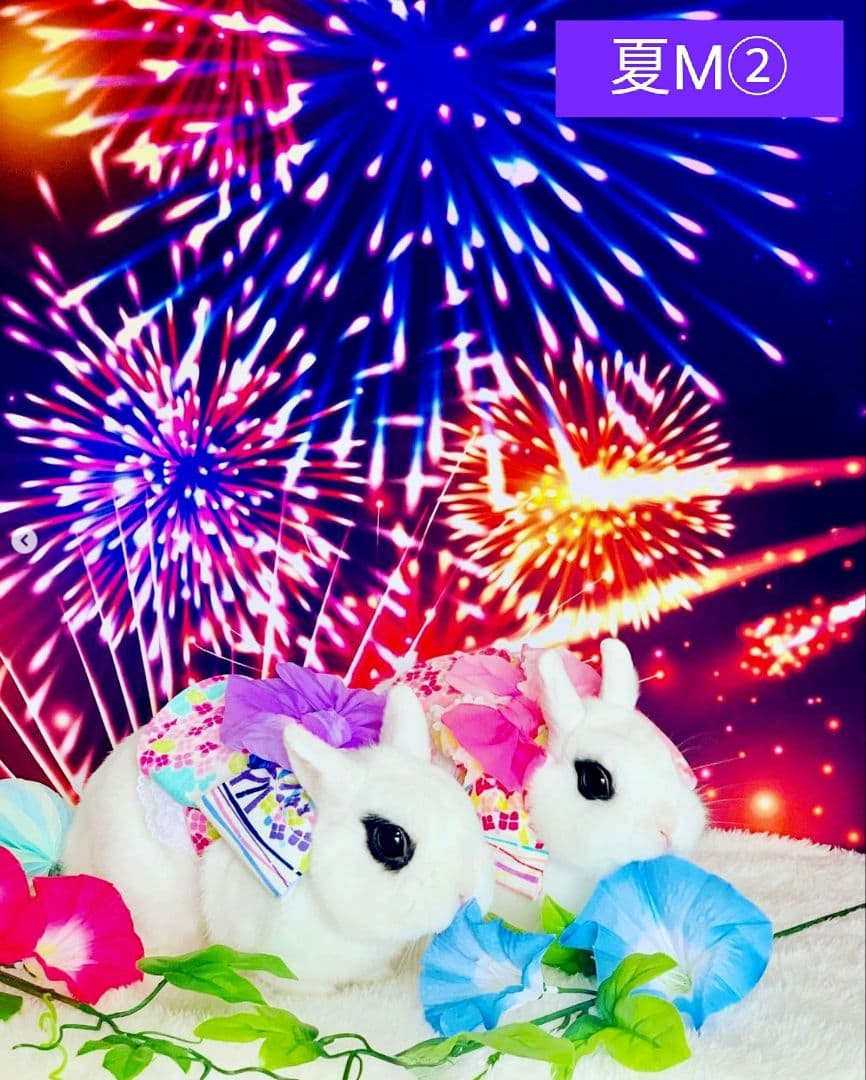 背景布夏BA② キッズ、ペット、7,8月撮影用フォトブース サーフィン