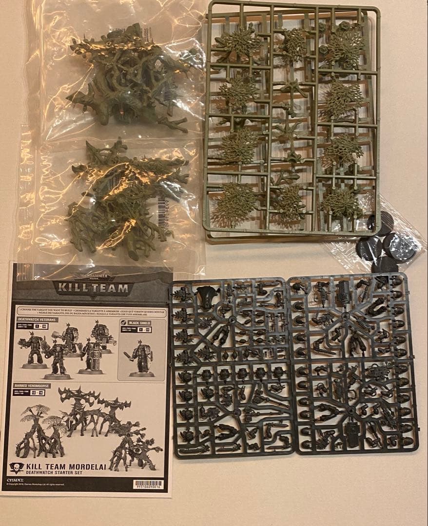 り*ん様 ウォーハンマー Warhammer Kill Team Mordela