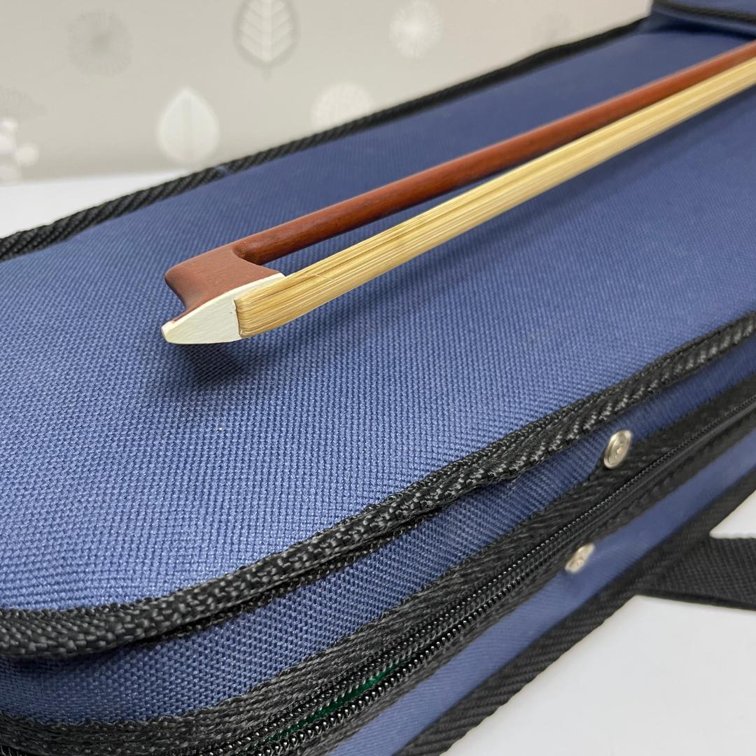 美品 CV-210E ハルシュタット エレクトリックバイオリン