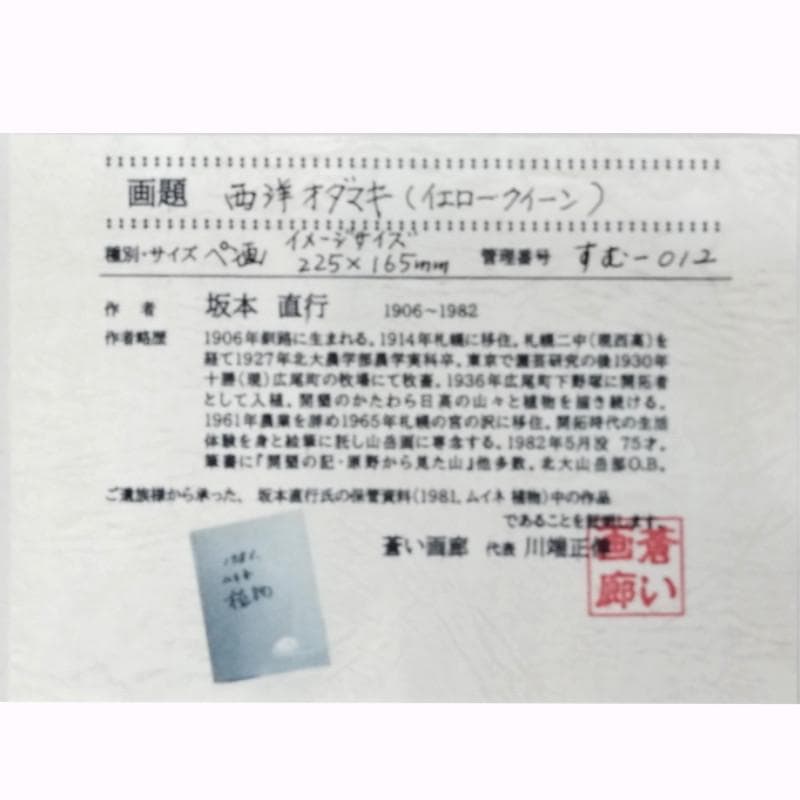 ☆坂本直行☆「 西洋オダマキ（イェロークィーン）」ペン画太子未使用！