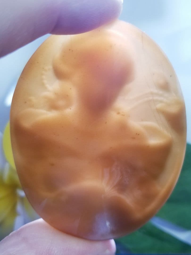 kazusanKS-666【ジョバンニ・トゥルコ作】天然シェルカメオルース