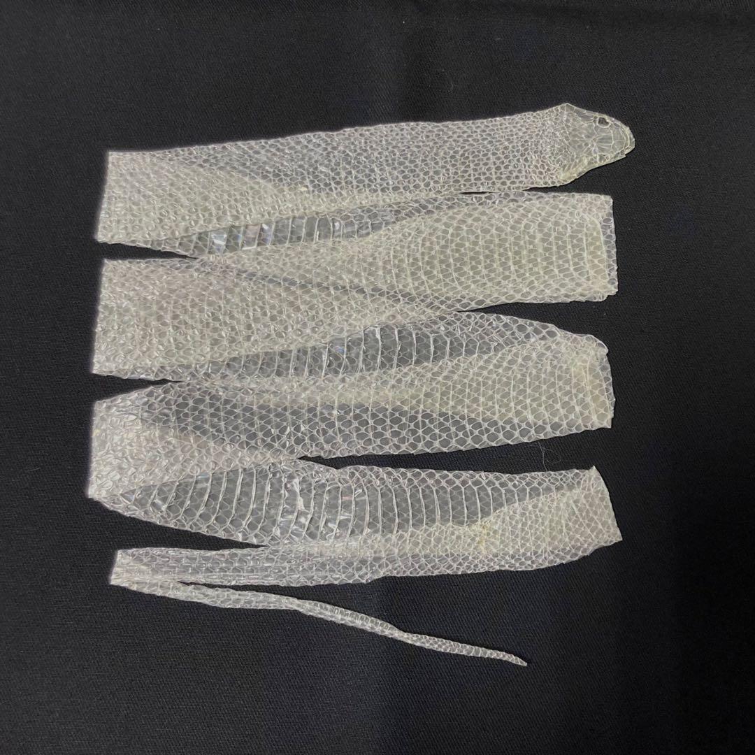 白蛇の抜け殻 一本脱ぎ 約115cm - メルカリ