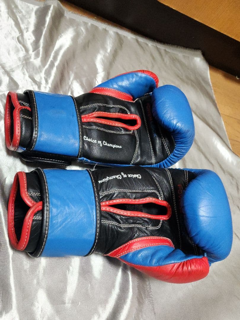 エバーラスト パワーロック 14oz ボクシンググローブ - メルカリ